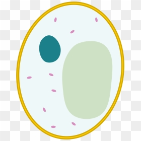 File Simple Diagram Of - Simple Animal Cell Unlabeled, HD Png Download - cells png