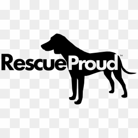 Bob Palmbeach 2019 Logo Color - Guard Dog, HD Png Download - pet png