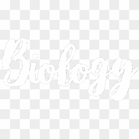 Picture - Calligraphy, HD Png Download - biology png