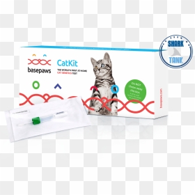 Cat Dna Test, HD Png Download - felix the cat png