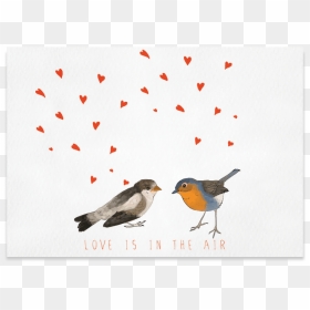 Postcard Png, Transparent Png - postcard png