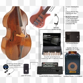 Transparent Upright Bass Clipart - Viola, HD Png Download - viola png