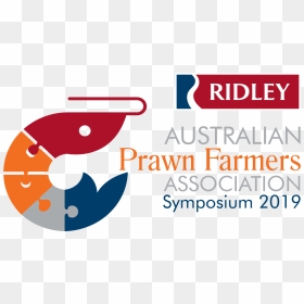 Graphic Design, HD Png Download - ridley png