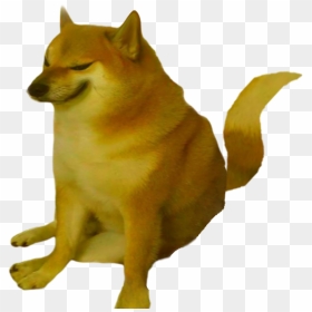 Mammal Canidae Dog Shiba Inu Carnivore Dog Breed - Cheems Doge Png, Transparent Png - doge.png