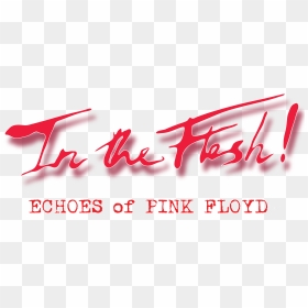 Neon Pink Floyd Transparent Logo, HD Png Download - pink floyd png