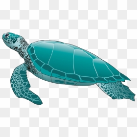 Green Sea Turtles Png, Transparent Png - ridley png