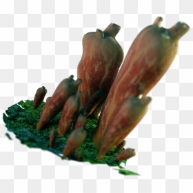 Estonian Museum Of Natural History - Bud, HD Png Download - squirt png