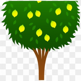 Transparent Lemon Clipart Png - Lemon Tree Drawing Easy, Png Download - tree clip art png