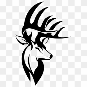 Milwaukee Deer White-tailed Decal Logo Bucks Clipart - Buck Deer Black And White Clipart, HD Png Download - buck teeth png