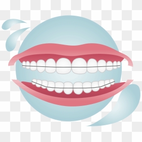 Metal Removable Orthodontic Retainer Covering A Set, HD Png Download - buck teeth png