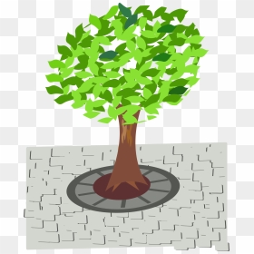 Transparent Tree Clip Art - Tree In Street Clipart, HD Png Download - tree clip art png