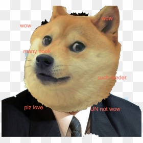Kim Jong Doge - Nice Dick Dude Meme, HD Png Download - doge.png