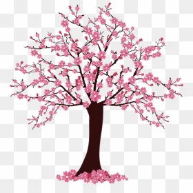 Cherry Blossom Tree Clip Art - Cherry Blossom Tree Clipart, HD Png Download - tree clip art png