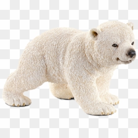 Bear Cub Png, Transparent Png - bear cub png