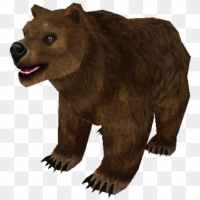 Bear Cub Png, Transparent Png - bear cub png