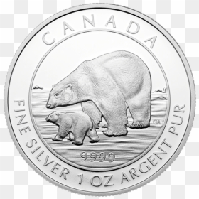 Grizzly Bear, HD Png Download - bear cub png
