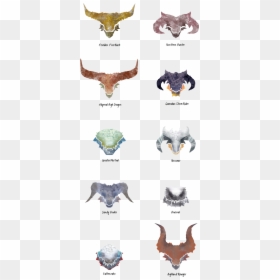 Head Shapes Of Dragons, HD Png Download - dragon age inquisition logo png