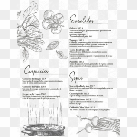 Document, HD Png Download - caldo de res png