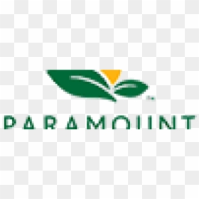 Paramount Citrus, HD Png Download - paramount pictures png