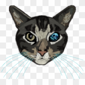 Cyberpunk Cat, HD Png Download - cyberpunk png