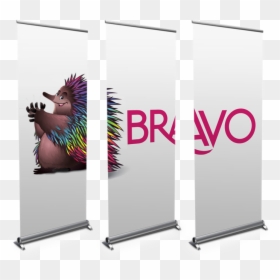 Lightweight Pull Up Banners, HD Png Download - retractable banner png