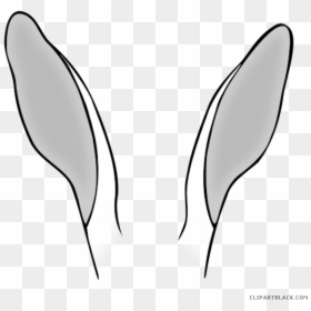 Clip Art, HD Png Download - bunny tail png