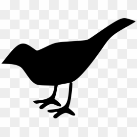 Bird Free Icon, HD Png Download - bird icon png