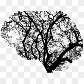 Emotional Clipart Distress - Brain Tree Png, Transparent Png - tree clip art png
