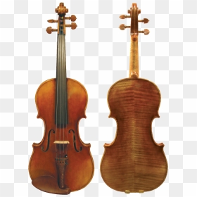 Guarneri Del Gesu 1740, HD Png Download - cello png