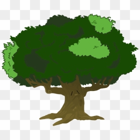 Tree Image Clip Art Online Royalty Free Clipart Png - Cartoon Mangrove Tree, Transparent Png - tree clip art png