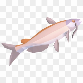 The Runescape Wiki - Dolphin, HD Png Download - catfish png