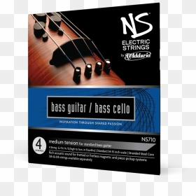 Double Bass, HD Png Download - cello png