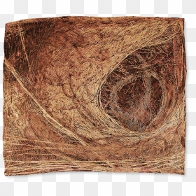 Scratch Drawing Series, Untitled, HD Png Download - scratch marks png