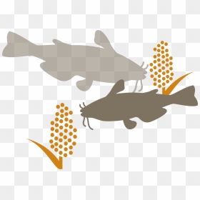 Catfish , Png Download - Spiral Free Royalty, Transparent Png - catfish png