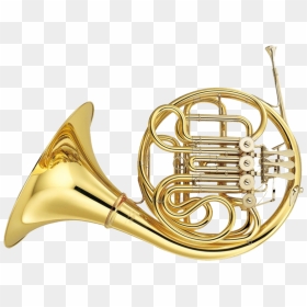 French Horns Musical Instruments Yamaha Corporation - French Horn, HD Png Download - instruments png