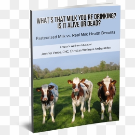 Cows , Png Download - Cows, Transparent Png - cows png