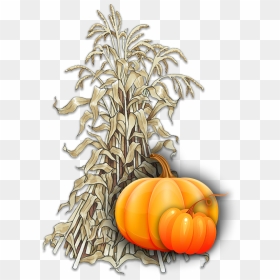 Pumpkin , Png Download - Pumpkin, Transparent Png - pumkin png