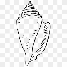 Sea Shells Png Icons - Shell Clip Art Black And White, Transparent Png - shells png