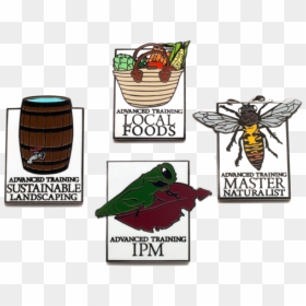 Master Gardener Pins - Illustration, HD Png Download - pins png