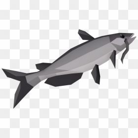 The Runescape Wiki - Runescape Catfish, HD Png Download - catfish png
