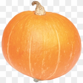 Large Pumpkin - Calabaza Png Transparente, Png Download - pumkin png