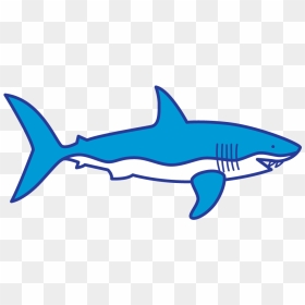 Clip Art Shark Finning Portable Network Graphics Dorsal - El Tiburon Para Dibujar, HD Png Download - fin png