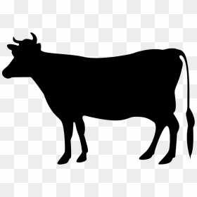 Beef - Cow Black Clipart, HD Png Download - beef png