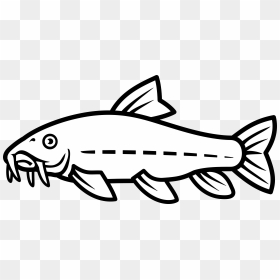 Catfish Vector By Nico - Hito Black And White, HD Png Download - catfish png