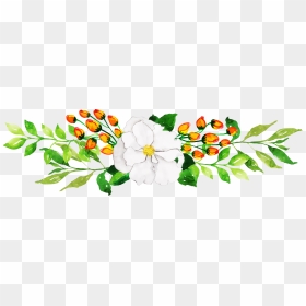 Camellia Sasanqua, HD Png Download - floral clipart png