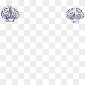 Cammino Di Santiago, HD Png Download - shells png