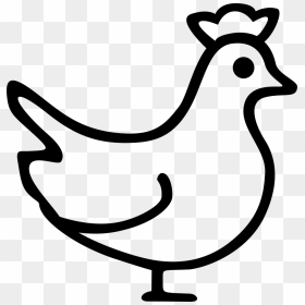 Chicken - Chicken Png Icon, Transparent Png - chicken.png