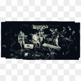 Untitled Panorama7 Copy Fin - Rock Concert, HD Png Download - fin png
