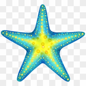 Starfish Png - Transparent Background Starfish Clipart, Png Download - star fish png