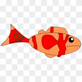 Colored Sad Png Clip - Fish Transparent Background Sad, Png Download - fin png